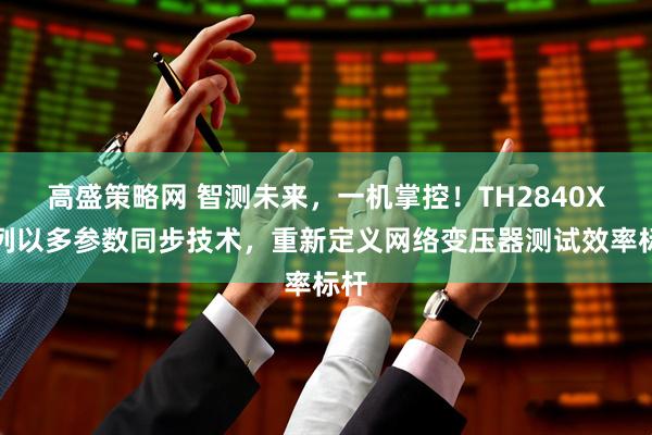 高盛策略网 智测未来，一机掌控！TH2840X系列以多参数同步技术，重新定义网络变压器测试效率标杆
