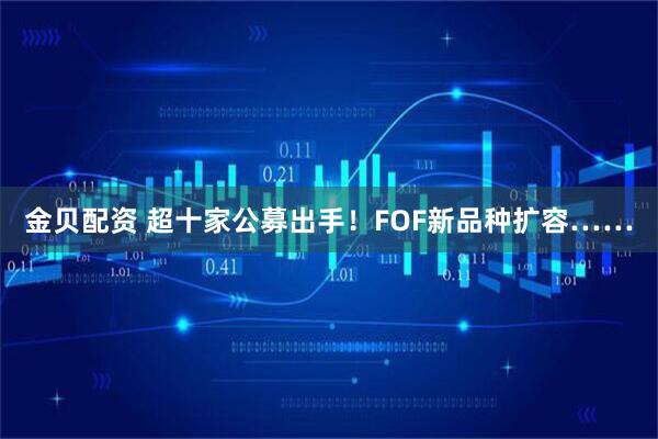 金贝配资 超十家公募出手！FOF新品种扩容……