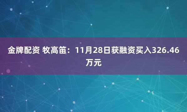 金牌配资 牧高笛：11月28日获融资买入326.46万元