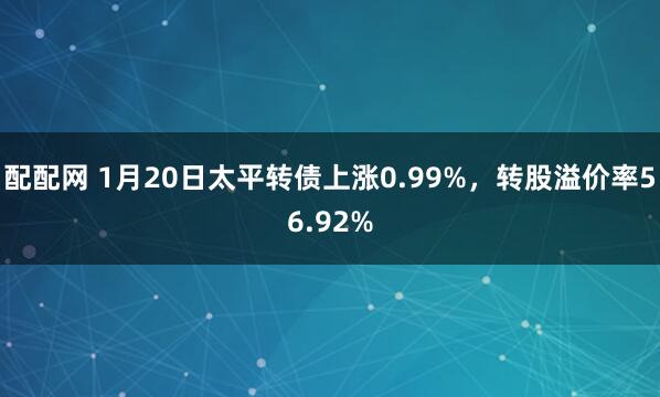 配配网 1月20日太平转债上涨0.99%，转股溢价率56.92%