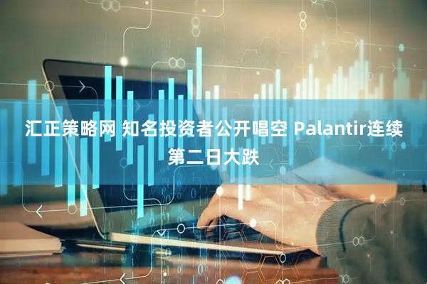 汇正策略网 知名投资者公开唱空 Palantir连续第二日大跌
