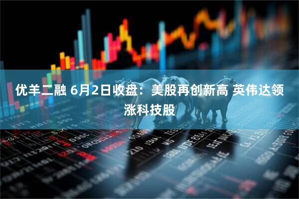 优羊二融 6月2日收盘：美股再创新高 英伟达领涨科技股